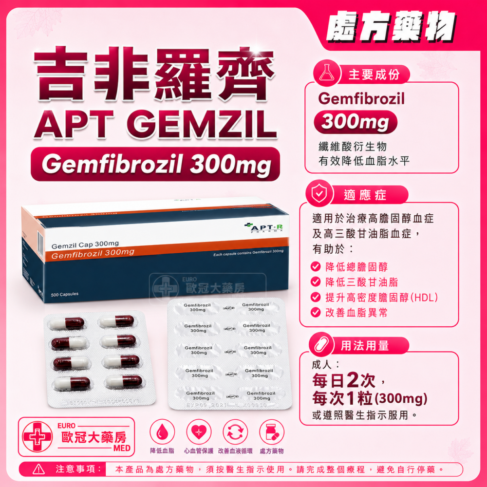 吉非羅齊 APT GEMZIL (Gemfibrozil) 300mg Capsule (HK-44317)
