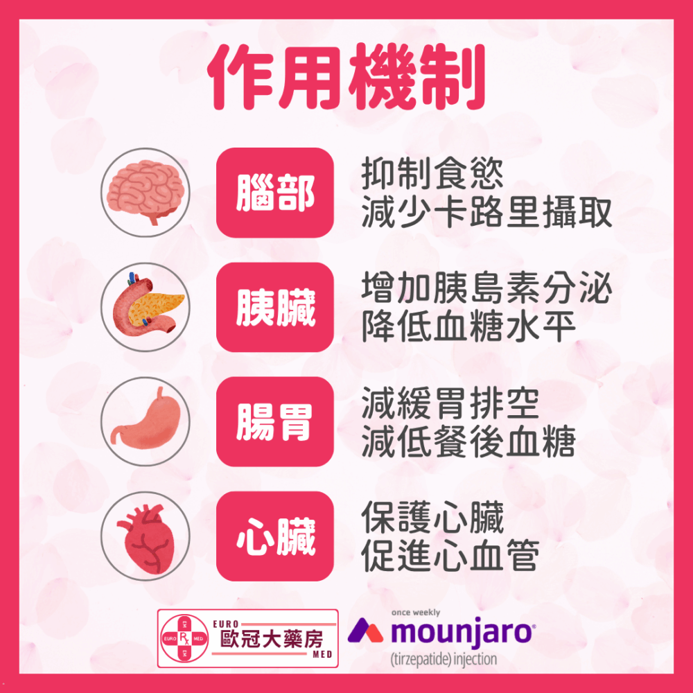 【香港行貨】滿健樂 減肥筆 Mounjaro 5mg (Tirzepatide) (HK-68412)