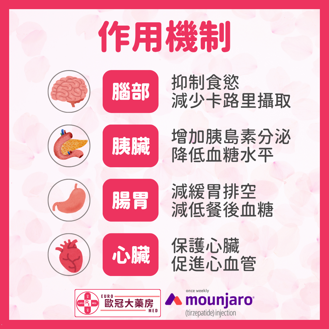 【香港行貨】滿健樂 減肥筆 Mounjaro 5mg (Tirzepatide) (HK-68412)